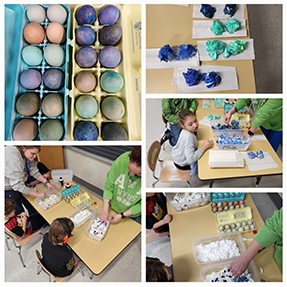 Photo collage of egg coloring